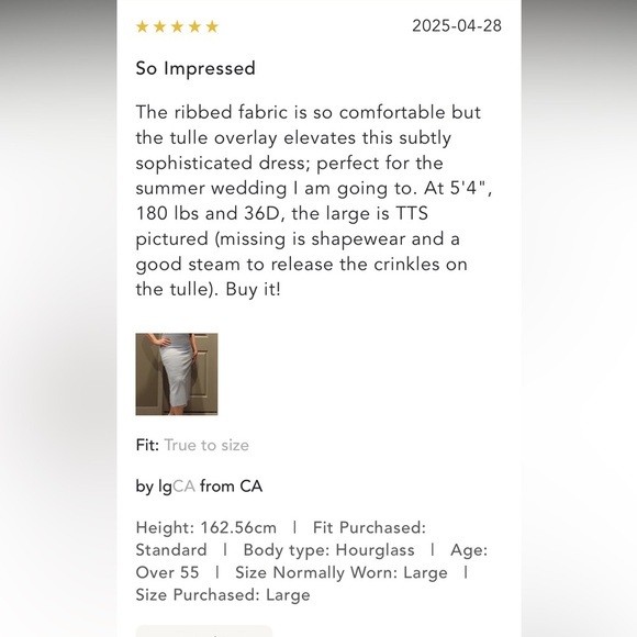 Anthropologie NWT En Elly Mesh Slim Midi Dress size XS. - Picture 13 of 15